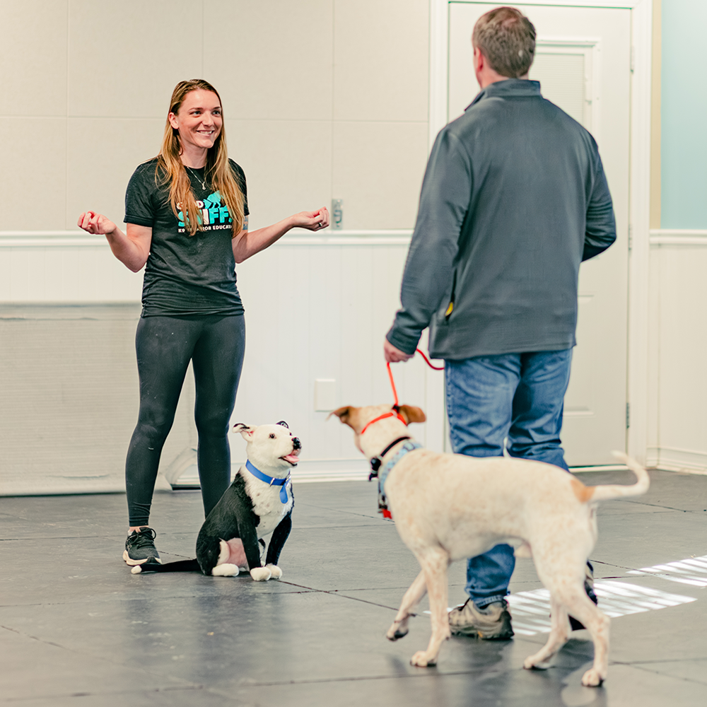 Margaret Bridges, Professional K9 Trainer l Indianapolis