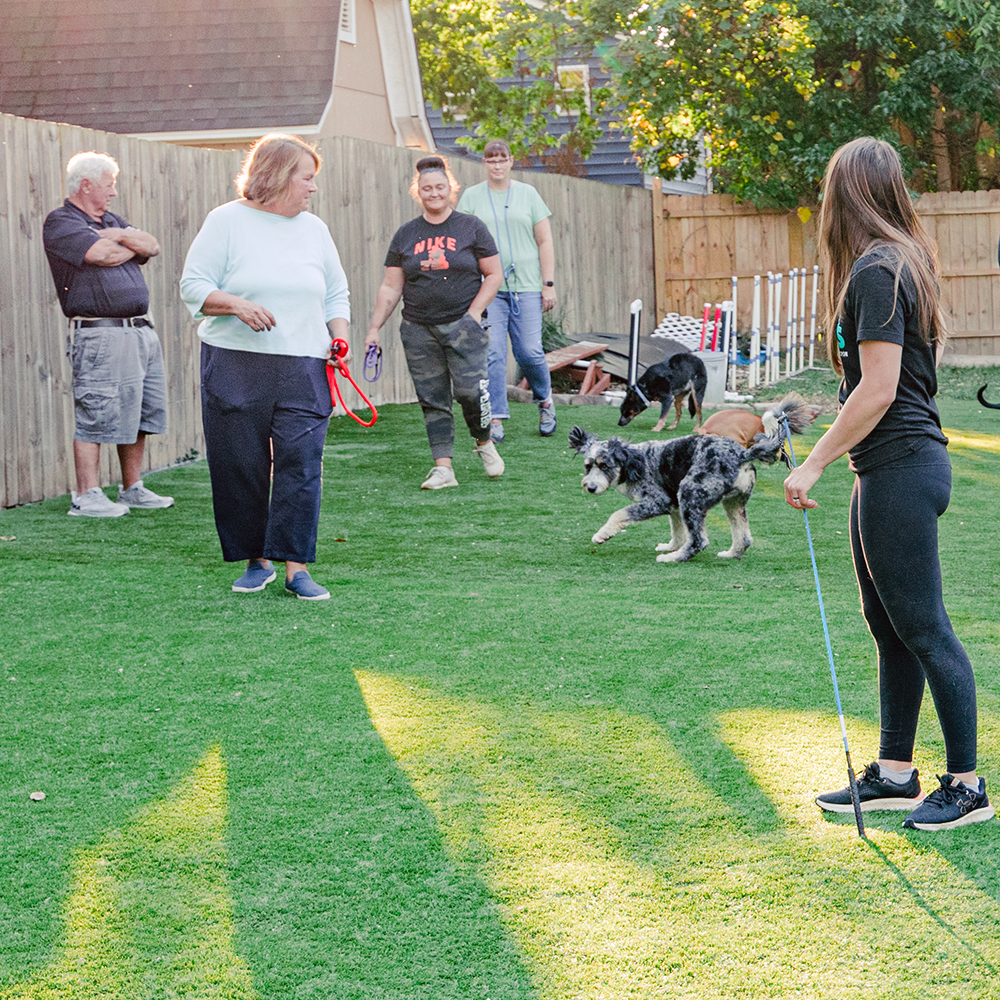 Good Sniffs K9 Behavior Education l Indianapolis