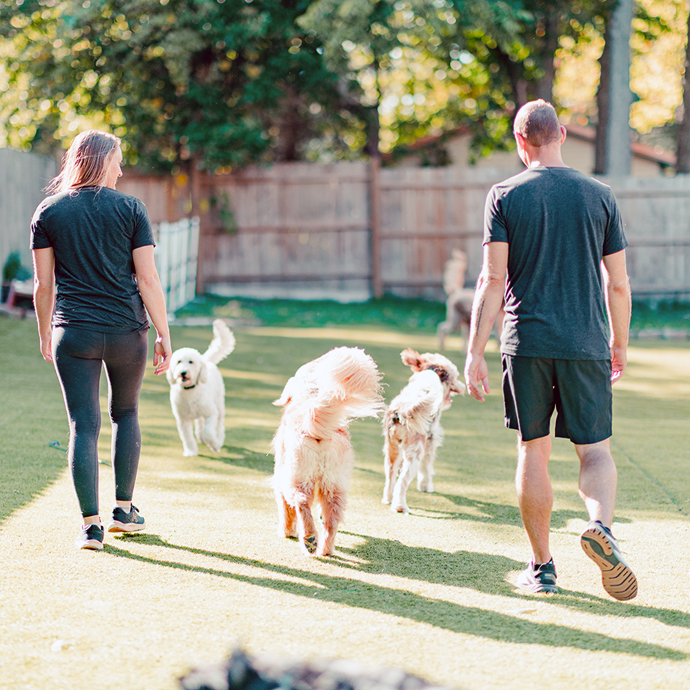 Good Sniffs K9 Behavior Education l Indianapolis